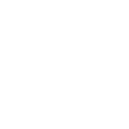 SMSLink