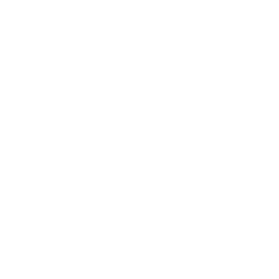 allmysms