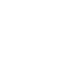 Brizy