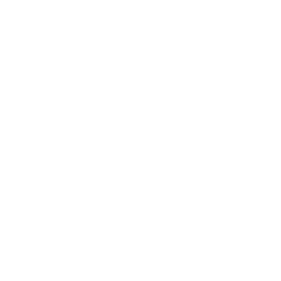 Česká spořitelna