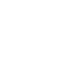 Custom JS