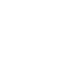 Global SMS