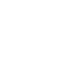 1CRM