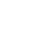 REST Countries