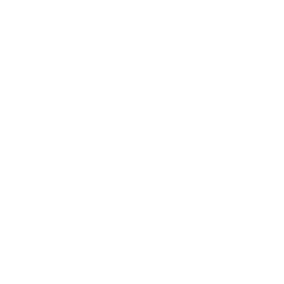 Xero Projects